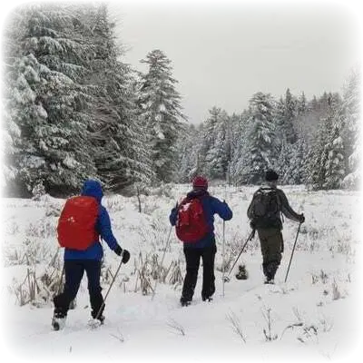 Back Country Skiing